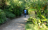 Explore Graduate Programs